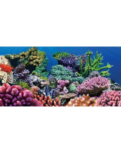 Aquatic Creations Coral Cling Aquarium Background - 36" Long x 18" Wide