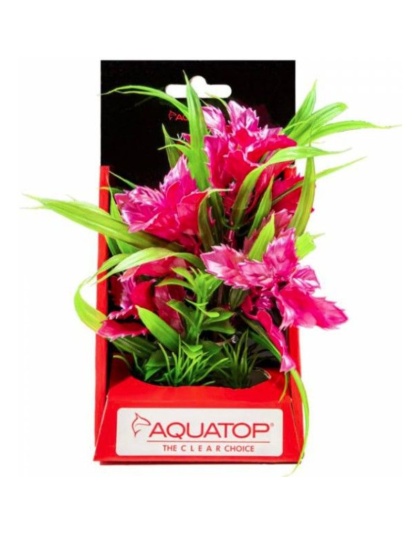 Aquatop Vibrant Passion Aquarium Plant Rose - 6" tall