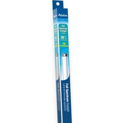 Aqueon T8 Daylight Fluorescent Lamp - 36" - 25 watt