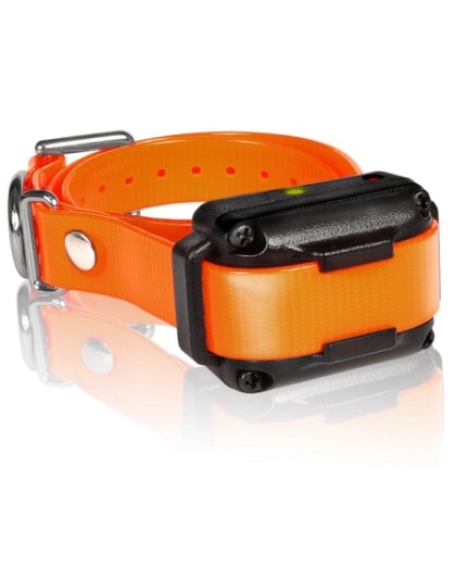 IQ Plus Additional Receiver Orange Strap