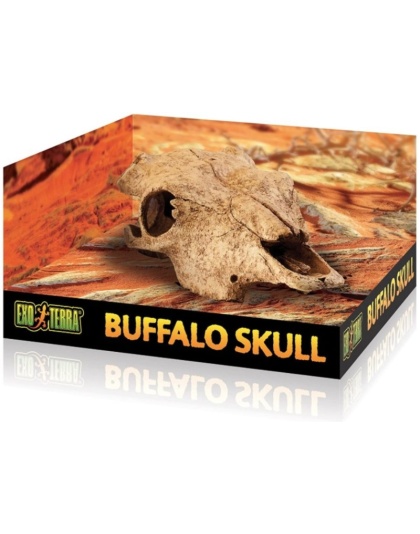 Exo Terra Terrarium Buffalo Skull Decoration - 1 count