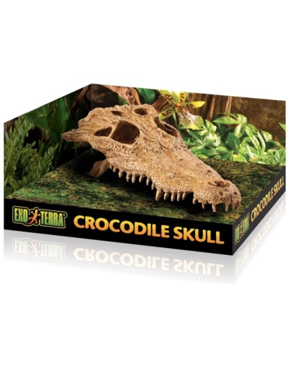 Exo Terra Terrarium Crocodile Skull Decoration - 1 count