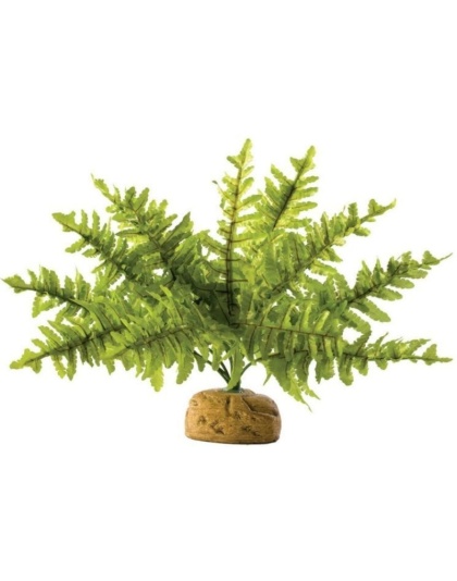 Exo Terra Boston Fern Terrarium Plant - Small - 1 count