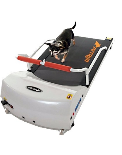 PetRun PR700 Dog Treadmill