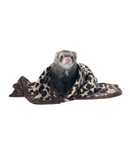 Marshall Designer Fleece Blanket for Small Animals - 1 count