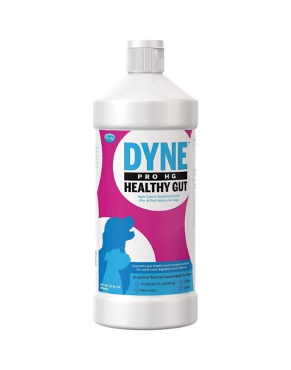 PetAg Dyne PRO HG Healthy Gut Supplement for Dogs - 32 oz
