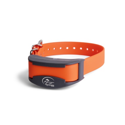 SportDOG Brand? SD-425X X-Series Add-A-Dog?