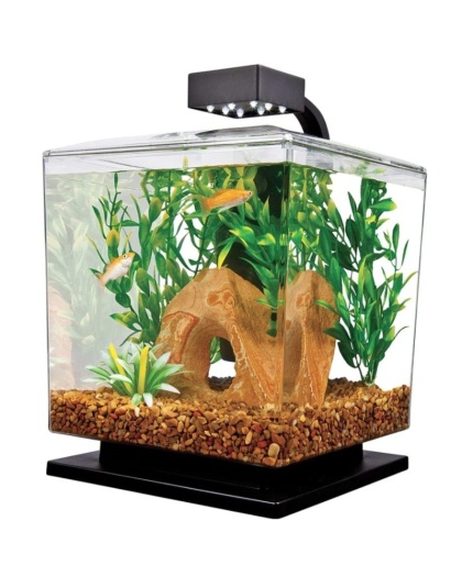 Tetra Cube Aquarium Kit with LED Lighting - 1.5 Gallon Aquarium Kit