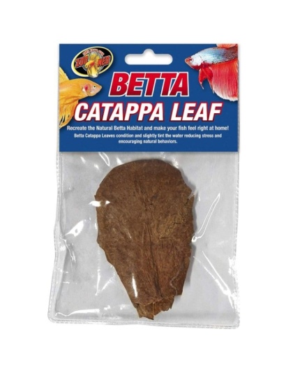 Zoo Med Betta Catappa Leaf - 1 count